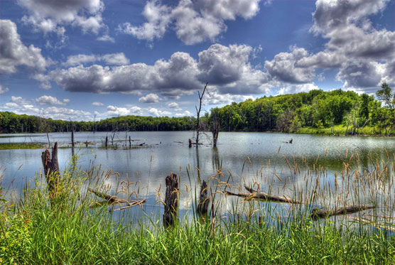 Maplewood-Lake-View