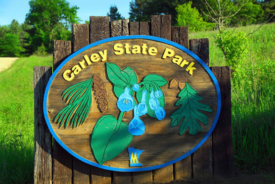 Carley-Sign