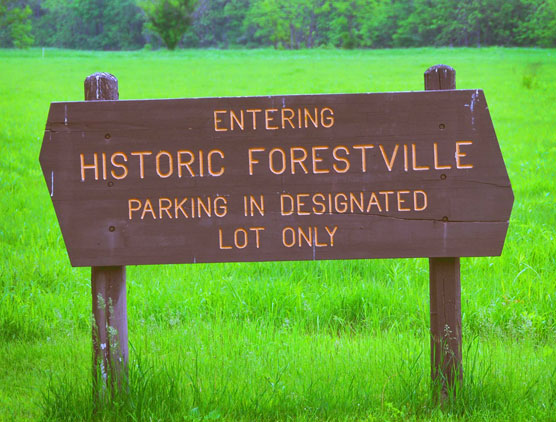 Forestville-Sign