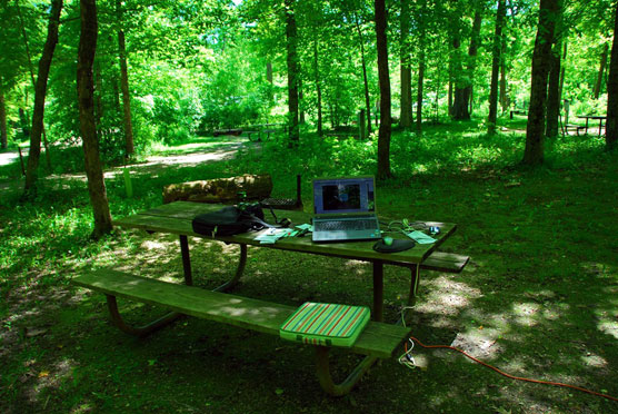 Nerstrand-Big-Woods-Office