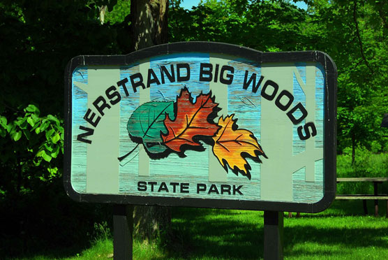 Nerstrand-Big-Woods-Sign