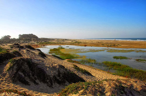 Pismo-Beach-2