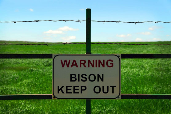 Bison-Sign-1