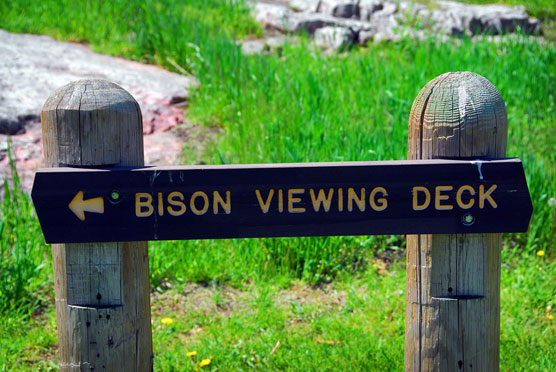 Bison-Sign-2