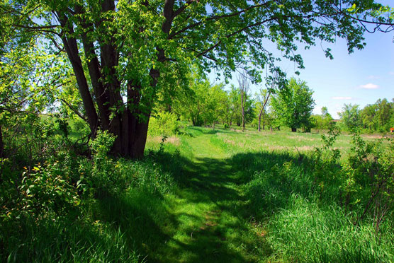 Blue-Mounds-Trail-1