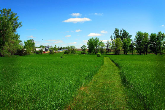 Blue-Mounds-Trail-6