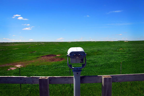 Looking-for-Bison