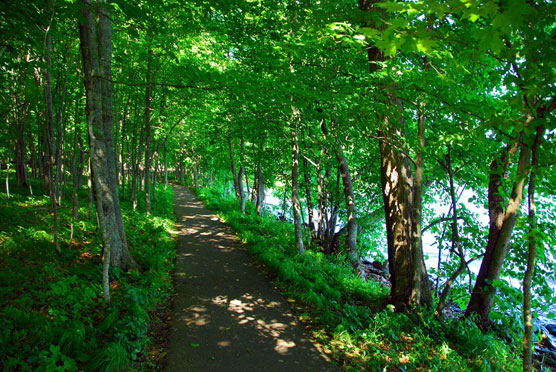 Father-Hennepin-Trail