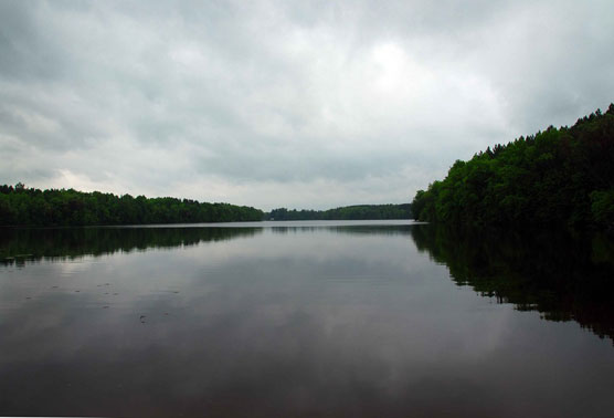 Moose-Lake-View