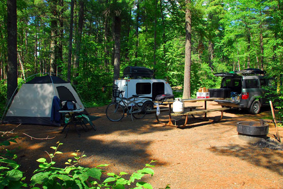 Bear-Head-Campsite