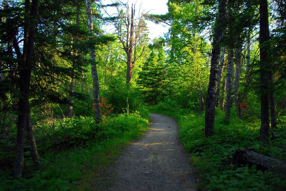 Bear-Head-Lake-Trail