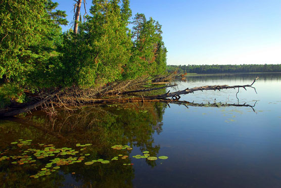 Scenic-Lake-View-2