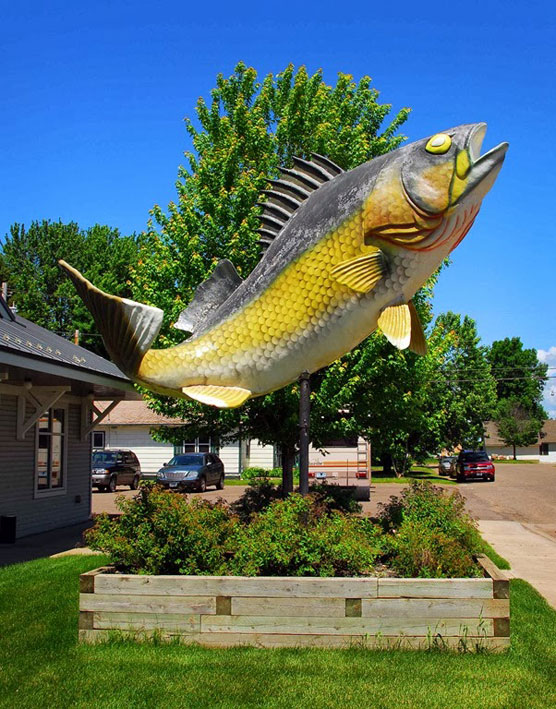 Big-Walleye