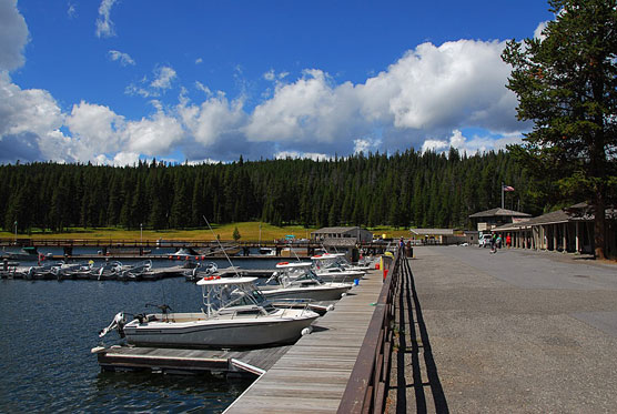 Bridge-Bay-Marina-1