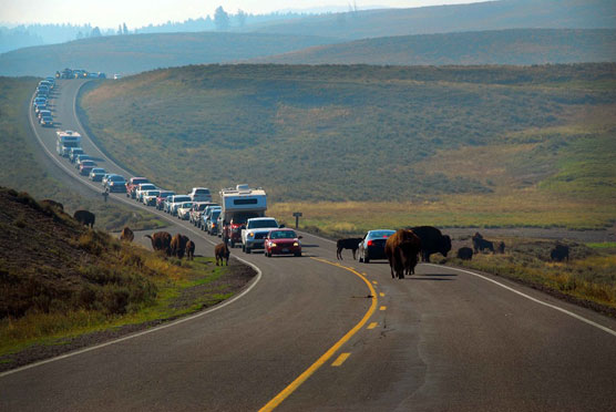 Road-Block