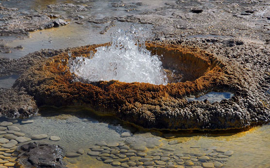 Upper-Geyser-Basin-13