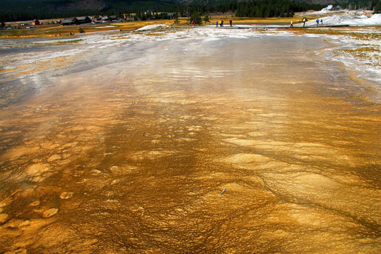 Upper-Geyser-Basin-16