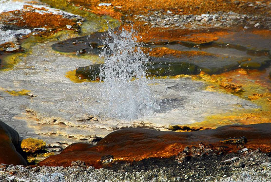 Upper-Geyser-Basin-6