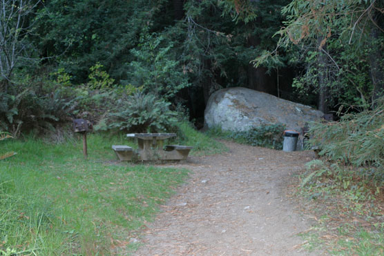 Julia_Pfeiffer_Burns_State_Park_Picnic_Area