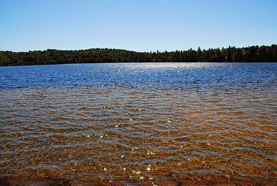 Fish-Creek-Pond