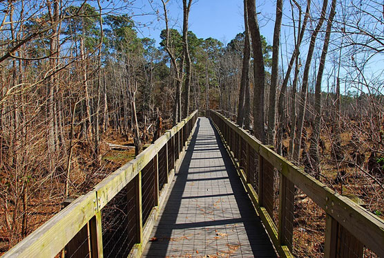 Boardwalk