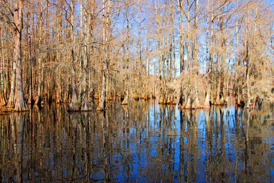 Chicot-Bayou