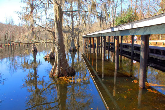 Chicot-Boat-Dock