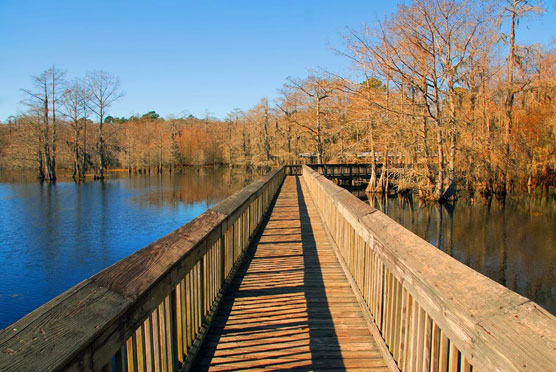 Chicot-Fishing-Pier