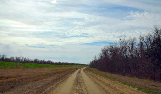 Dirt-Road-1