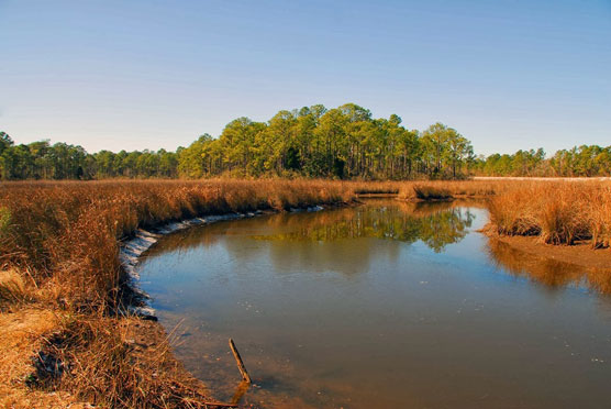 Shepard-Bayou