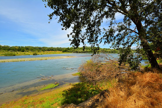 Sacramento-River-View-1