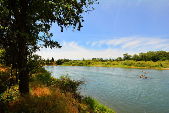 Sacramento-River-View-2