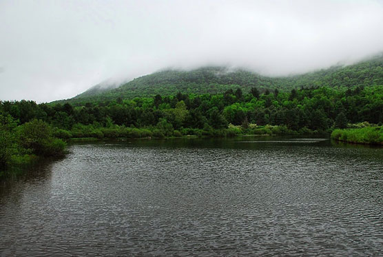 Kenneth-Wilson-Pond