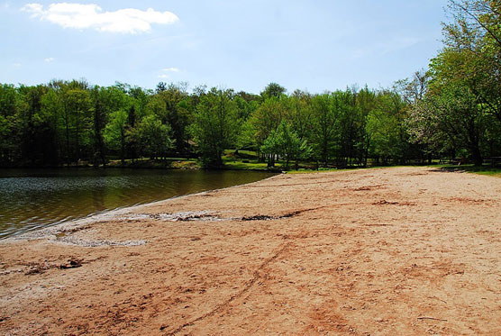 Mongaup-Pond-Beach