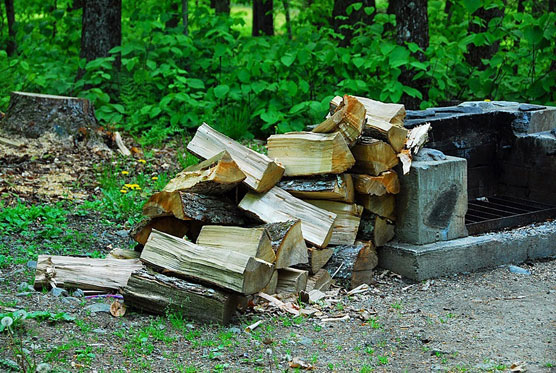 Mongaup-Pond-Firewood