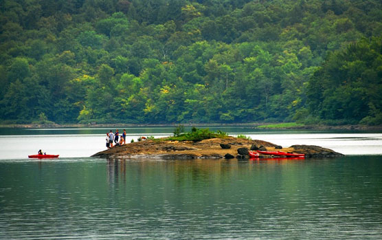 Kayakers