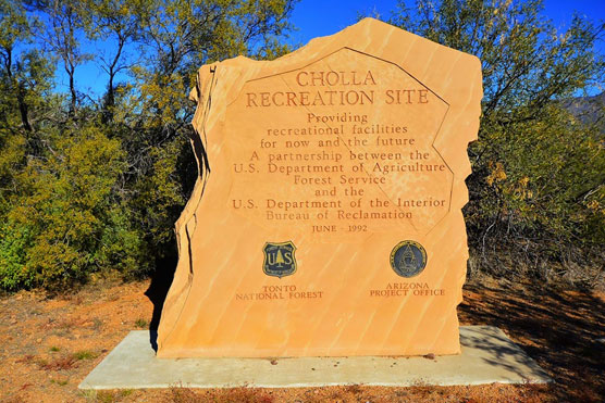 Cholla-Sign