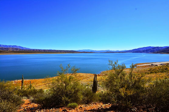 Cholla-View