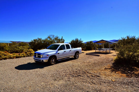 Cholla_017