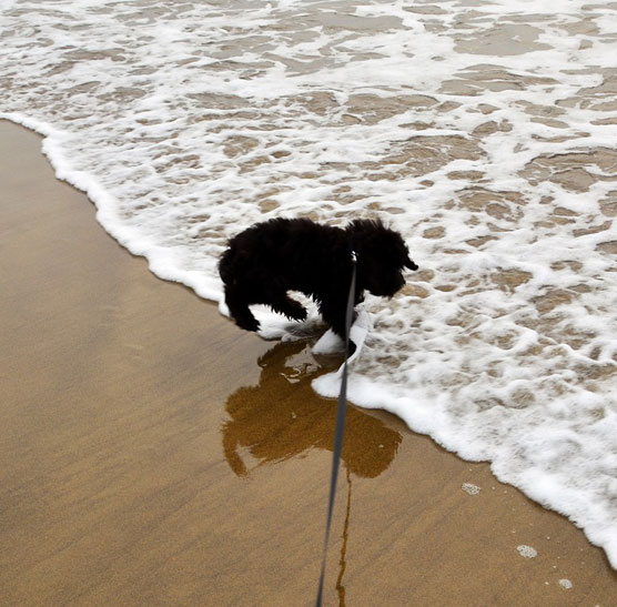 Beach-1