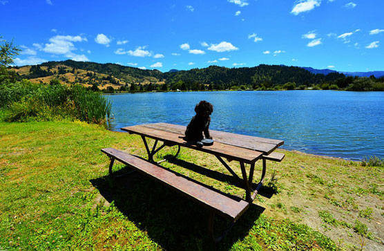 Powers-Picnic-Area