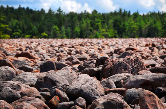 Hickory-Run-Boulder-Field-2