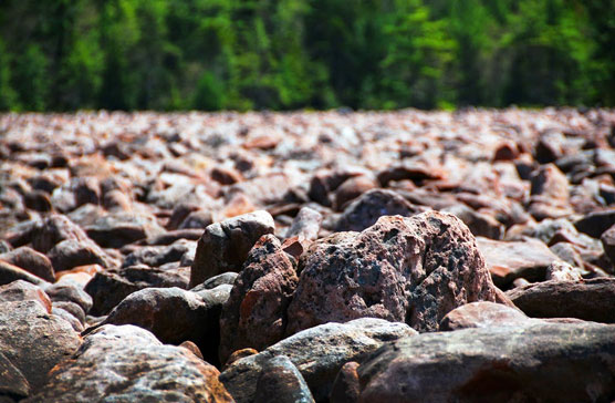 Hickory-Run-Boulder-Field-3