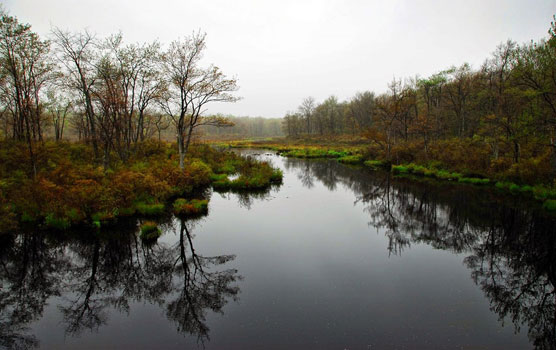 Tobyhanna-River