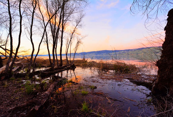 Clear-Lake-Water-Level