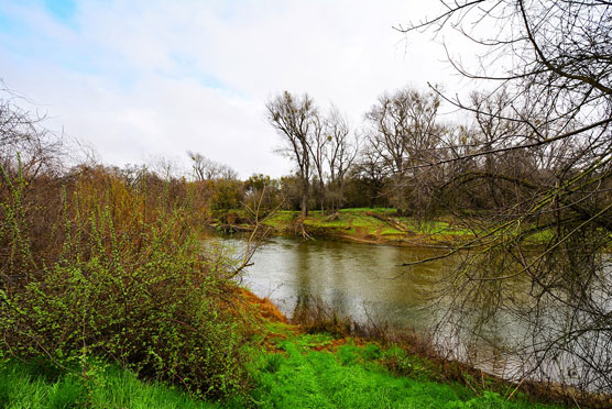 Stanislau-River-View