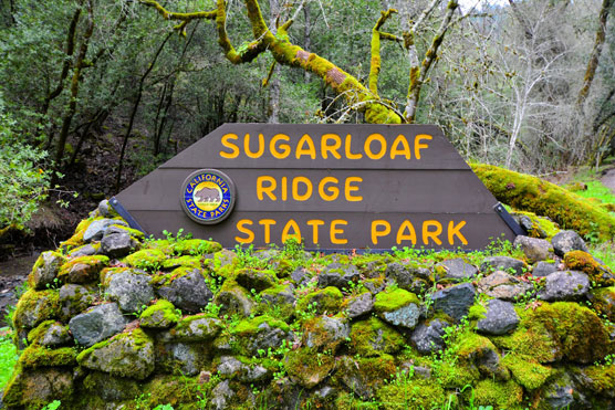 Sugarloaf-Ridge-Sign