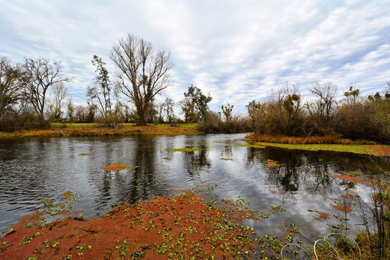 Tuolumne-River-View-1