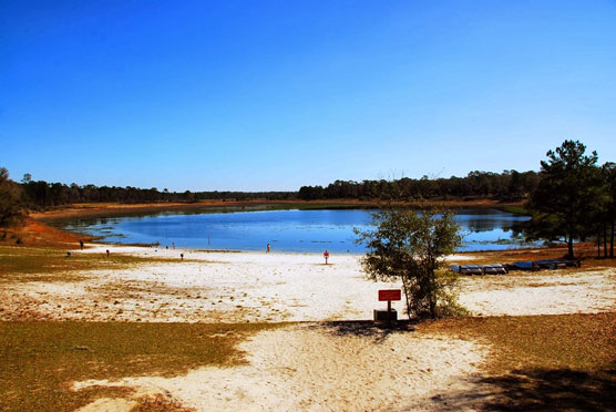 Gold-Head-Branch-Lake