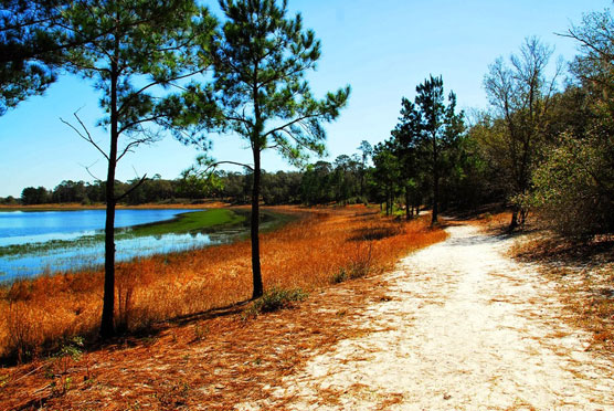 Gold-Head-Branch-Trail